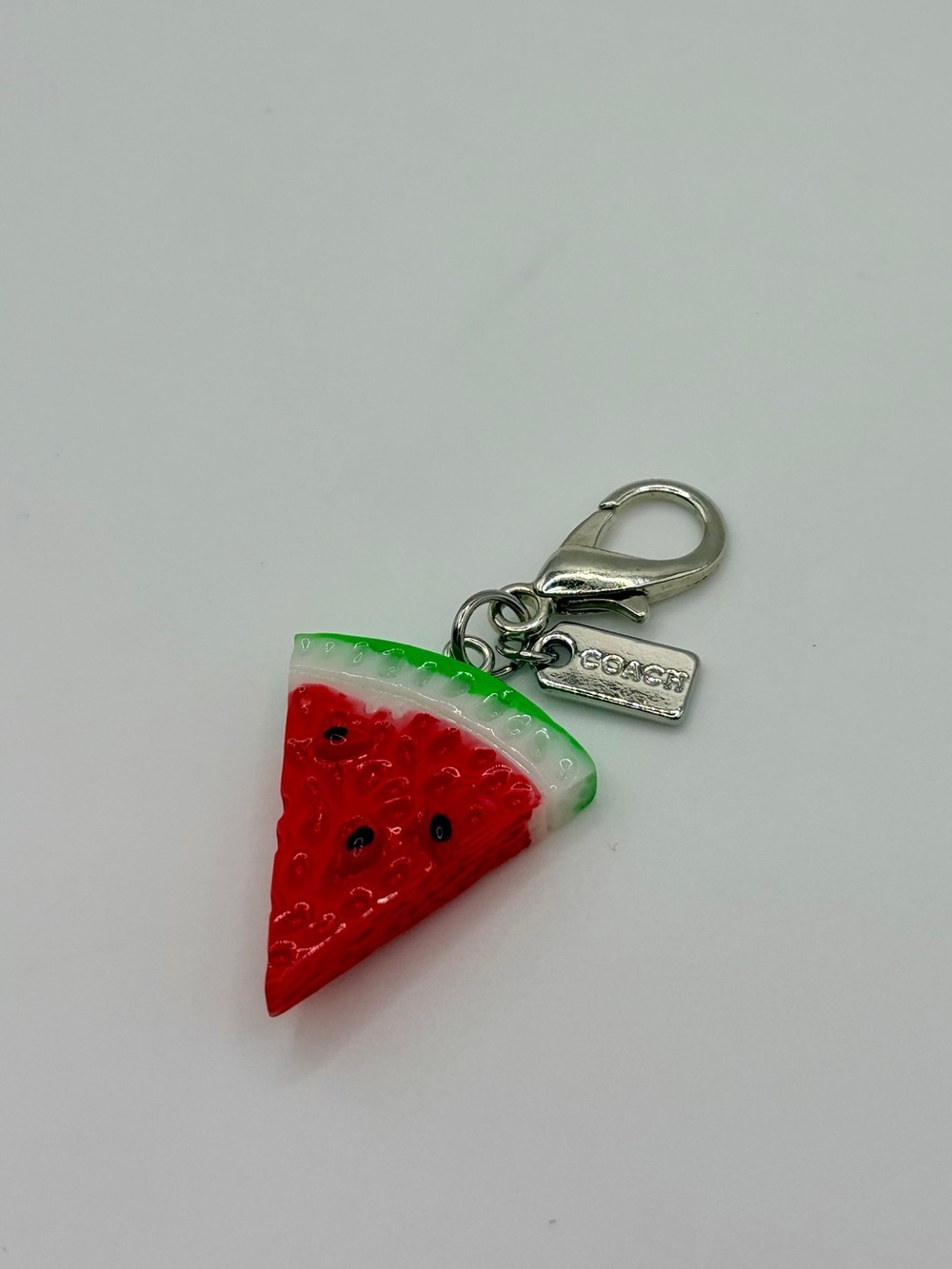 Watermelon Slice Bag Charm - Red & Green